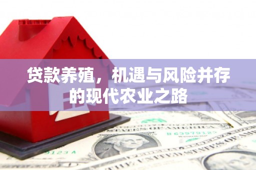 户县贷款养殖，机遇与风险并存的现代农业之路