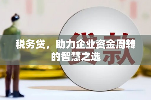 户县税务贷，助力企业资金周转的智慧之选