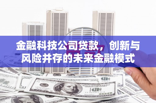 户县金融科技公司贷款，创新与风险并存的未来金融模式