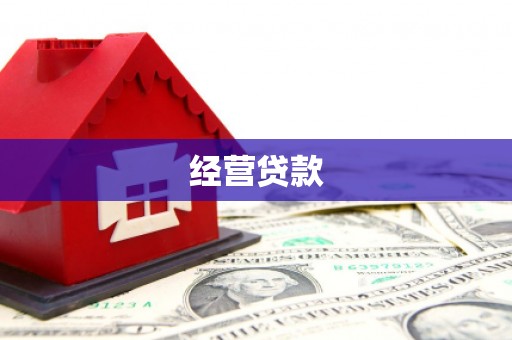 户县经营贷款
