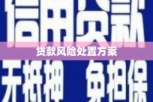 户县贷款风险处置方案