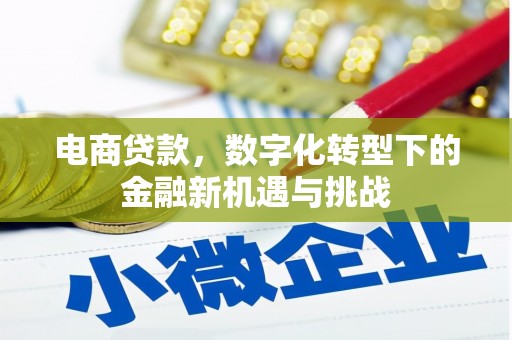 户县电商贷款，数字化转型下的金融新机遇与挑战