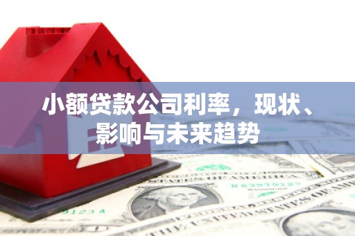 户县小额贷款公司利率，现状、影响与未来趋势
