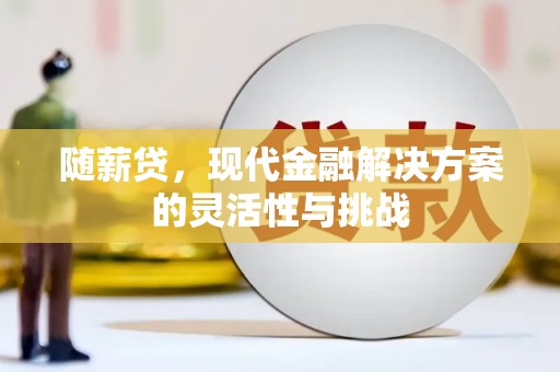 户县随薪贷，现代金融解决方案的灵活性与挑战