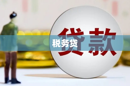 户县税务贷