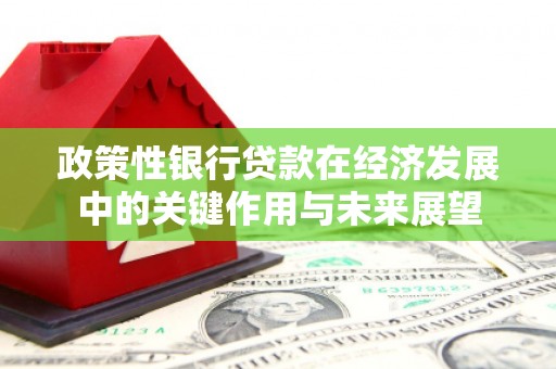 户县政策性银行贷款在经济发展中的关键作用与未来展望