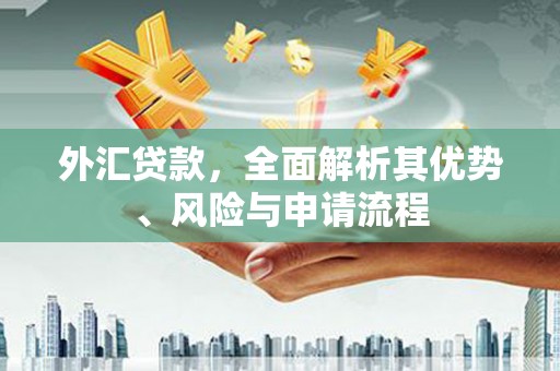 户县外汇贷款，全面解析其优势、风险与申请流程