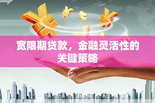 户县宽限期贷款，金融灵活性的关键策略