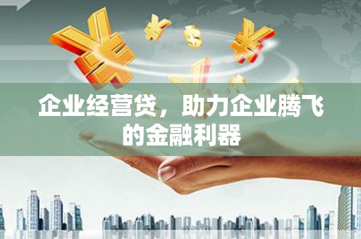 户县企业经营贷，助力企业腾飞的金融利器