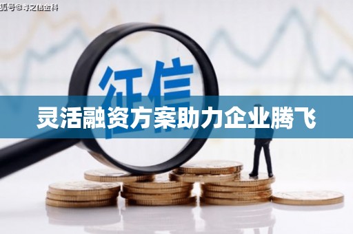 户县灵活融资方案助力企业腾飞