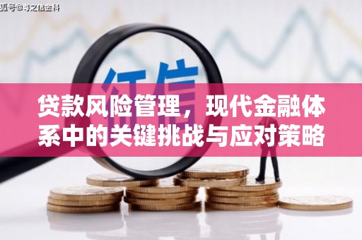 户县贷款风险管理，现代金融体系中的关键挑战与应对策略