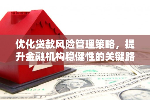 户县优化贷款风险管理策略，提升金融机构稳健性的关键路径