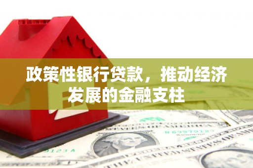 户县政策性银行贷款，推动经济发展的金融支柱