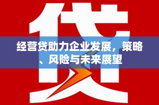 户县经营贷助力企业发展，策略、风险与未来展望