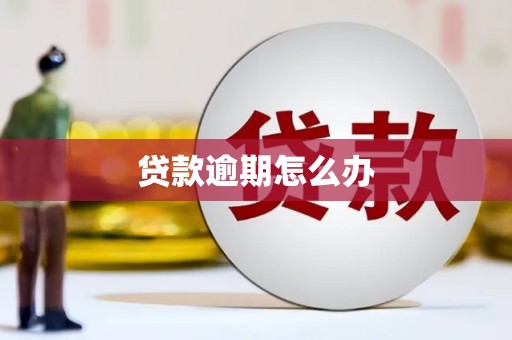 户县贷款逾期怎么办
