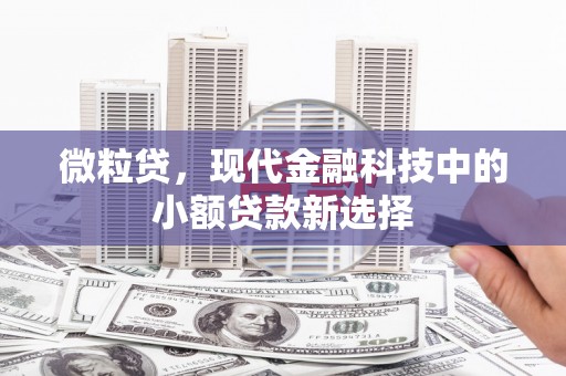 户县微粒贷，现代金融科技中的小额贷款新选择