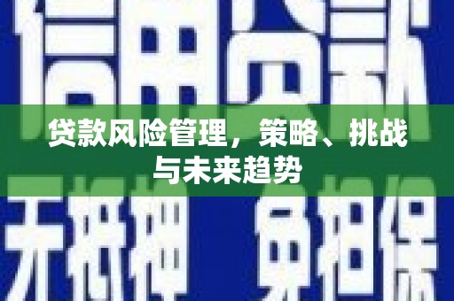 户县贷款风险管理，策略、挑战与未来趋势