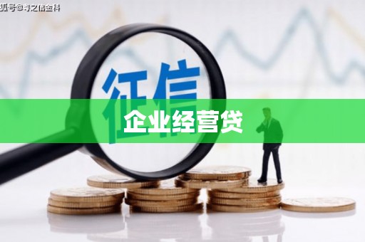 户县企业经营贷