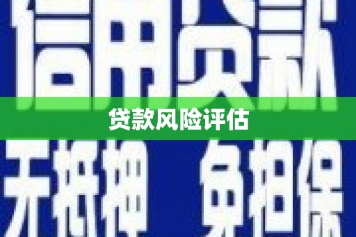 户县贷款风险评估