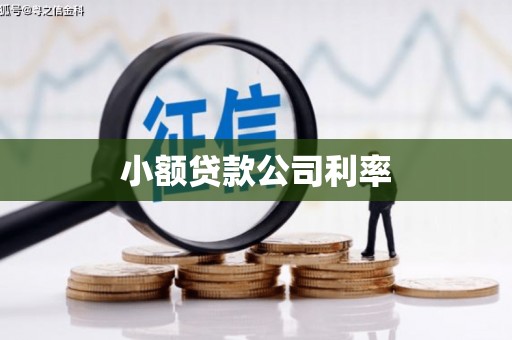 户县小额贷款公司利率