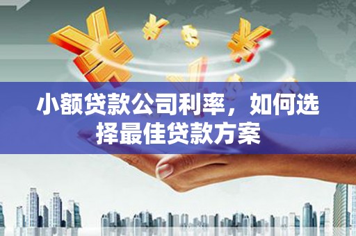 户县小额贷款公司利率，如何选择最佳贷款方案