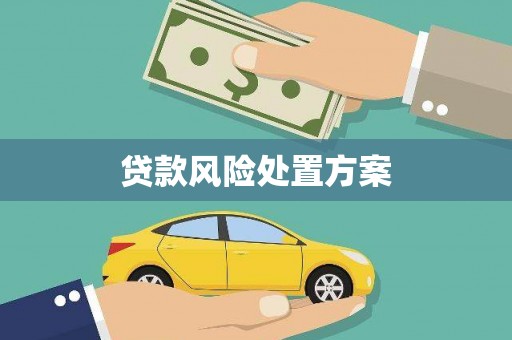 户县贷款风险处置方案