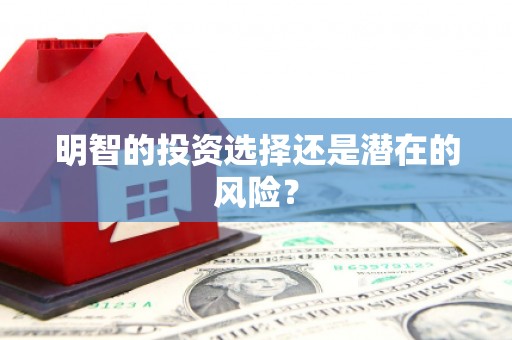 户县明智的投资选择还是潜在的风险？