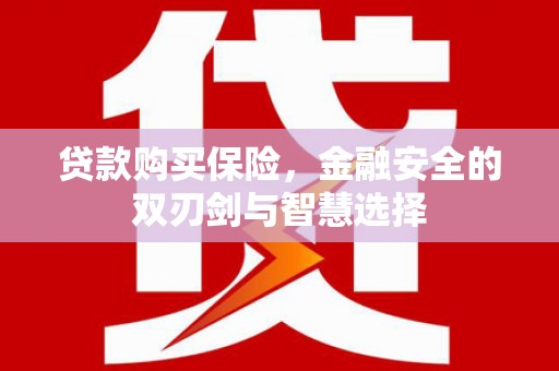户县贷款购买保险，金融安全的双刃剑与智慧选择