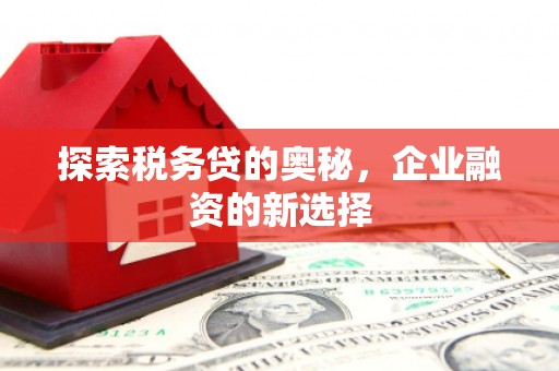 户县探索税务贷的奥秘，企业融资的新选择