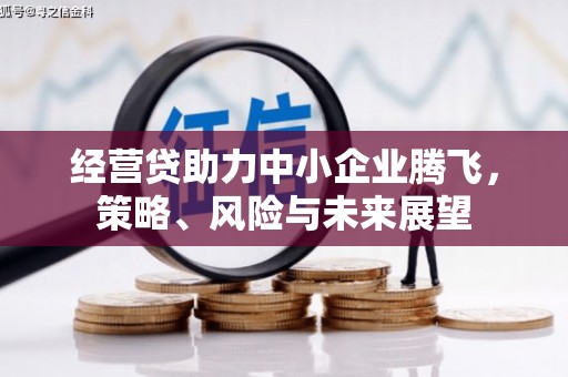 户县经营贷助力中小企业腾飞，策略、风险与未来展望