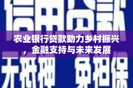 户县农业银行贷款助力乡村振兴，金融支持与未来发展