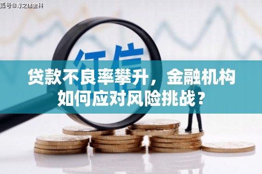 户县贷款不良率攀升，金融机构如何应对风险挑战？