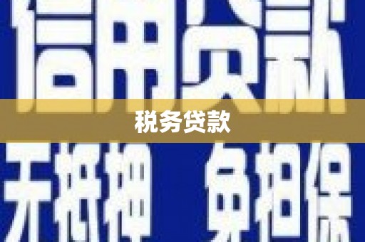 户县税务贷款