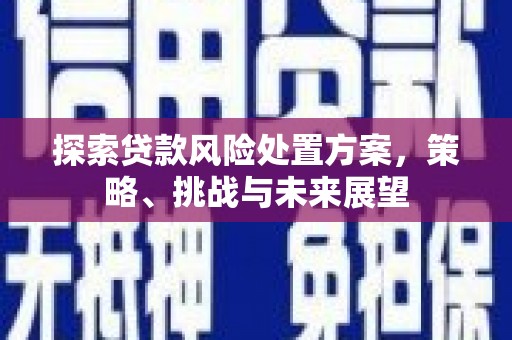户县探索贷款风险处置方案，策略、挑战与未来展望