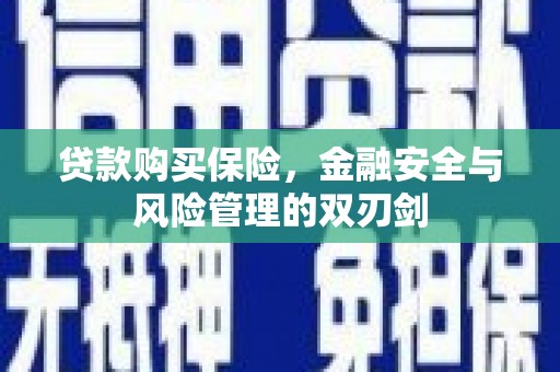 户县贷款购买保险，金融安全与风险管理的双刃剑