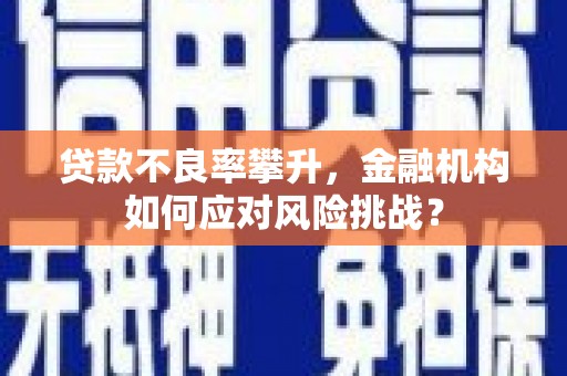 户县贷款不良率攀升，金融机构如何应对风险挑战？