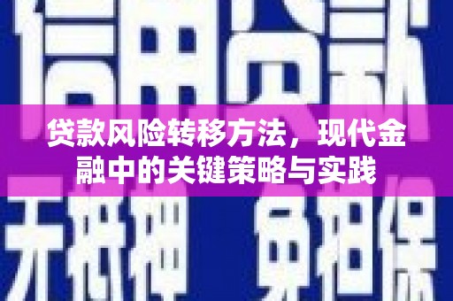 户县贷款风险转移方法，现代金融中的关键策略与实践