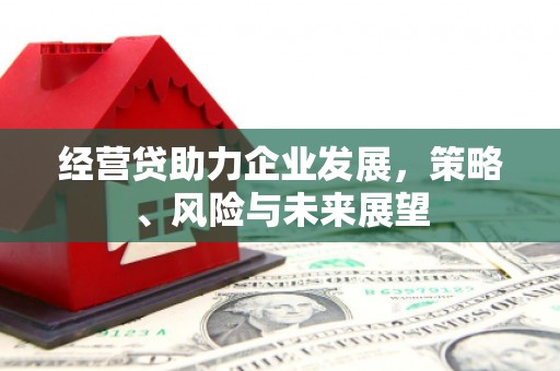 户县经营贷助力企业发展，策略、风险与未来展望