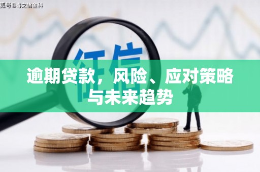 户县逾期贷款，风险、应对策略与未来趋势