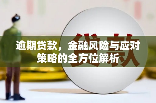 户县逾期贷款，金融风险与应对策略的全方位解析