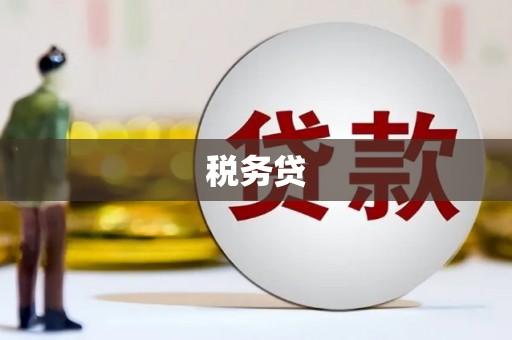户县税务贷