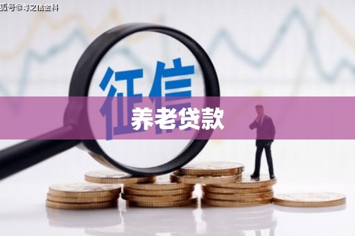 户县养老贷款