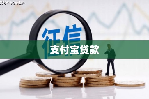 户县支付宝贷款