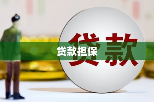 户县贷款担保