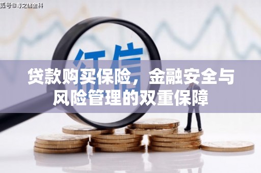户县贷款购买保险，金融安全与风险管理的双重保障