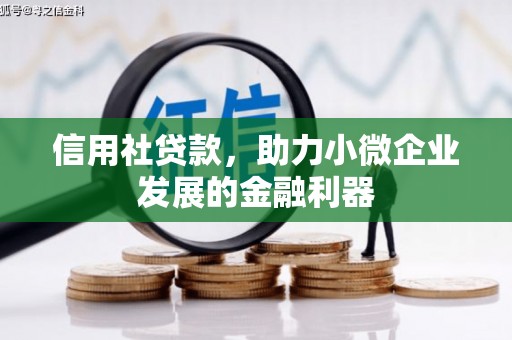 户县信用社贷款，助力小微企业发展的金融利器