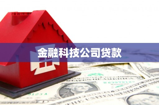 户县金融科技公司贷款