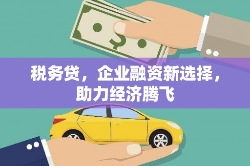 户县税务贷，企业融资新选择，助力经济腾飞