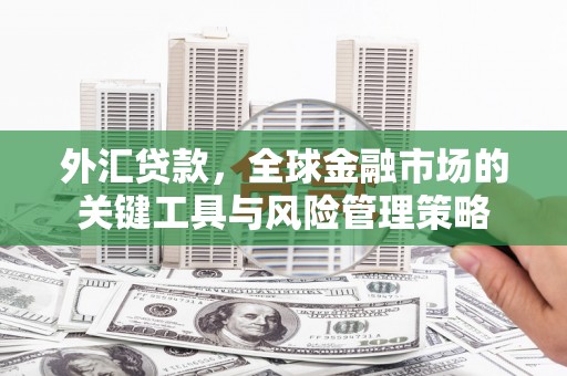 户县外汇贷款，全球金融市场的关键工具与风险管理策略