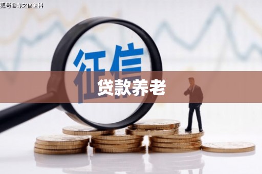 户县贷款养老